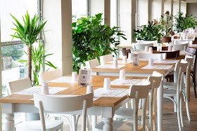 Eataly Roma