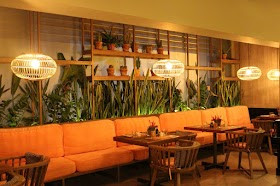 Rebuke Lounge
