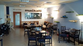 Mačkafé