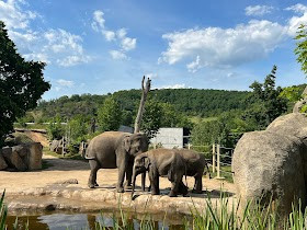 Prague Zoo