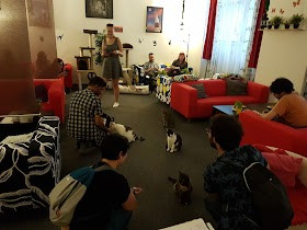 CatCafePrague