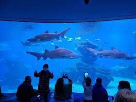 Palma Aquarium
