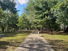 Shirlington Park