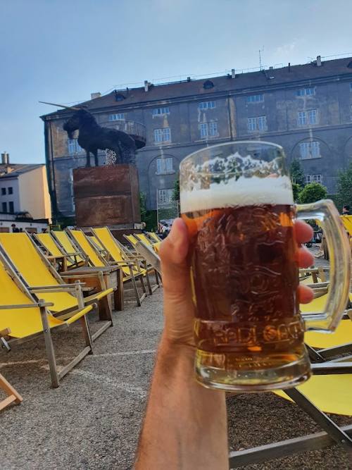 Pivo