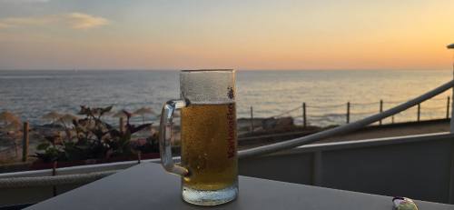 Pivo