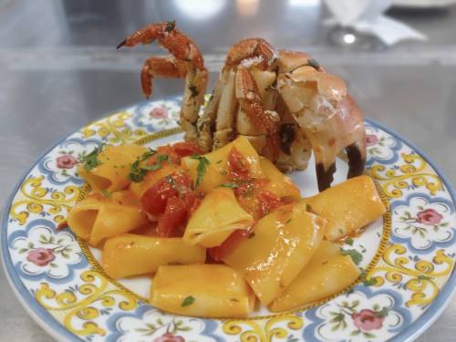 Scampi