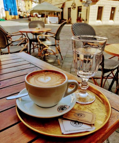 Káva