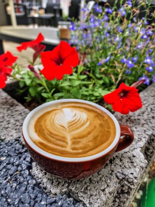 Caffellatte