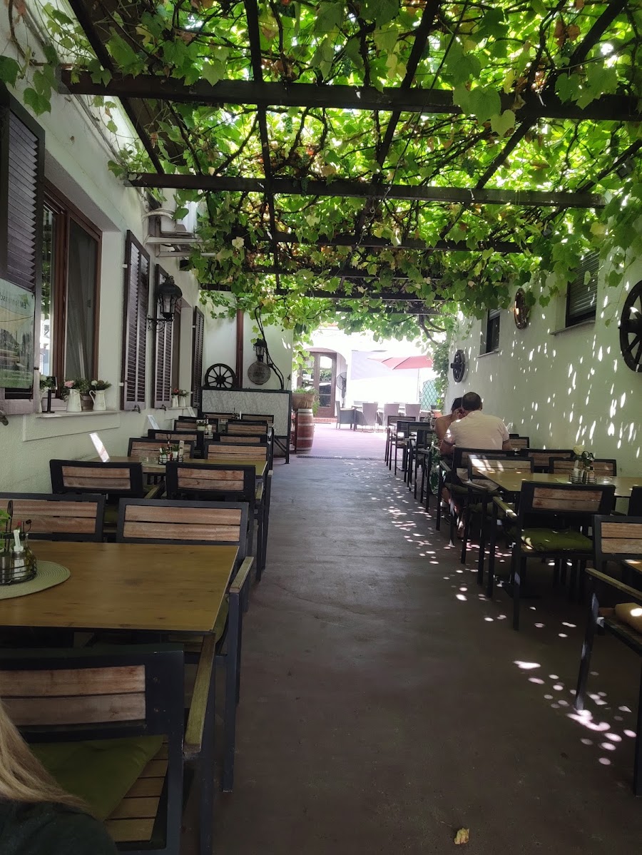 Pizzeria Rialto — fotka 1