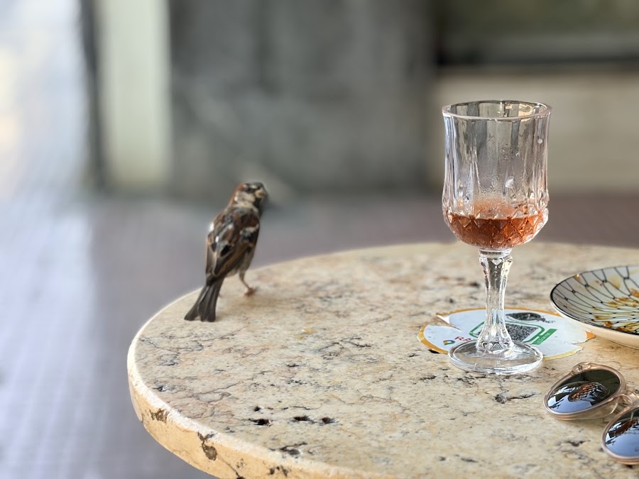 Alchemist Cafe Patisserie — fotka 3