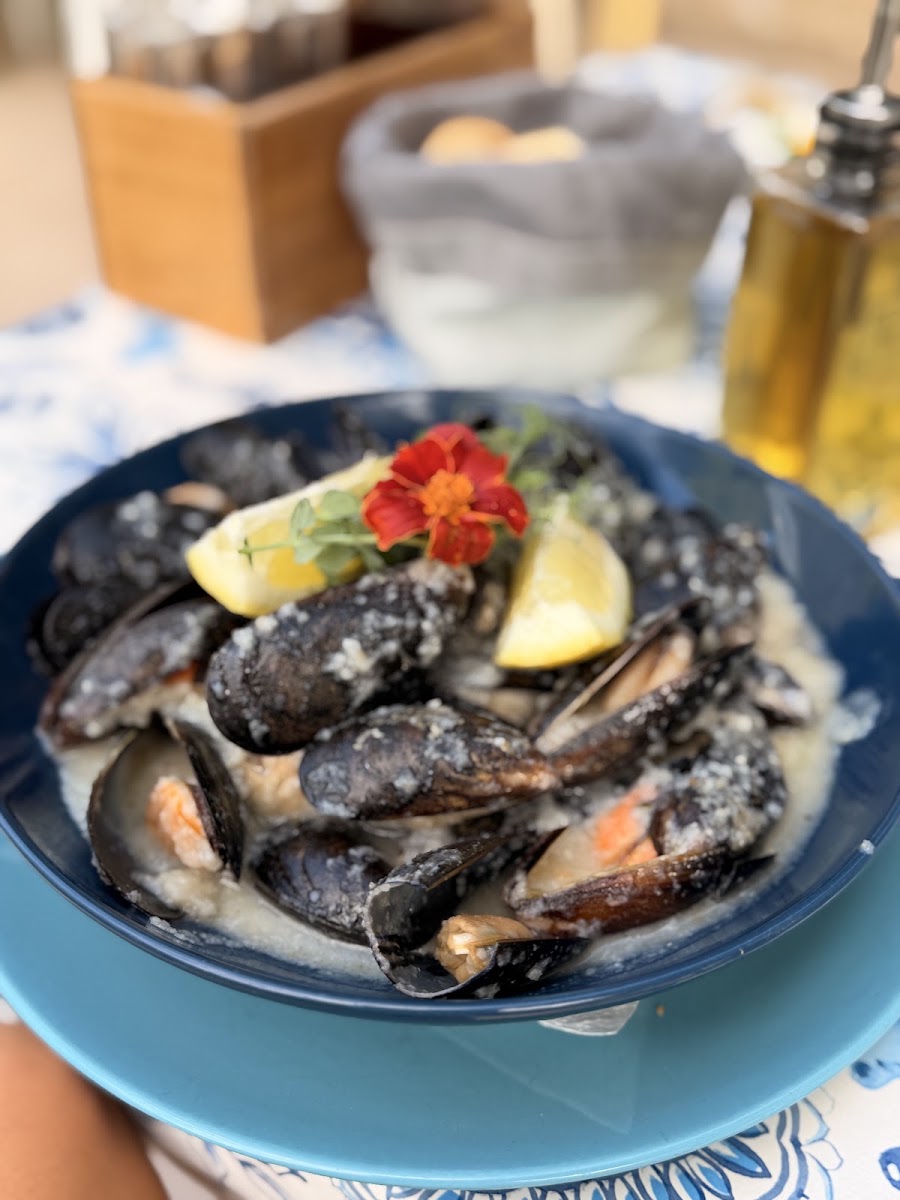 Bistro & Bakery Shop Lanterna — fotka 4