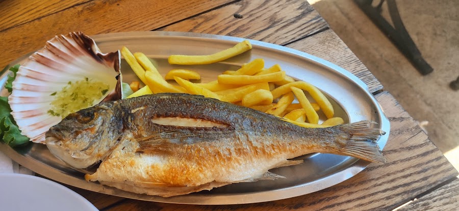 RESTAURANT DELFIN — fotka 2
