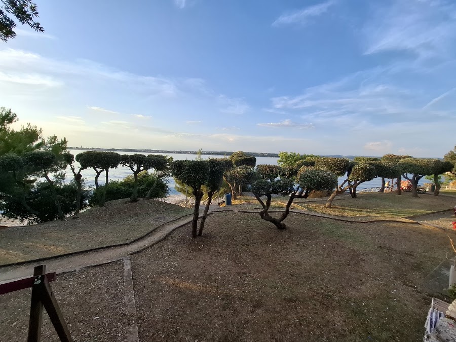 RESTAURANT DELFIN — fotka 4